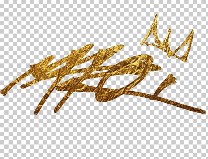 Gold Font PNG, Clipart, Gold, Jewelry, Metal, Twig Free PNG Download
