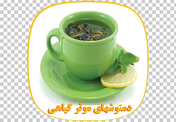 Green Tea Nutrient Health Drinking PNG, Clipart,  Free PNG Download