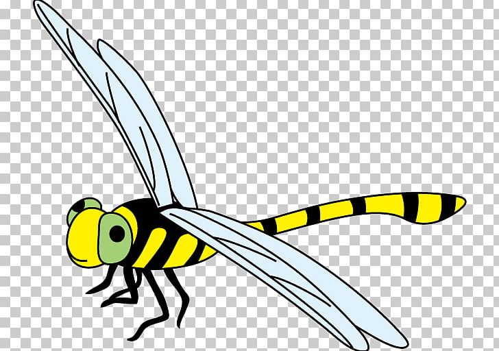 Insect Dragonfly PNG, Clipart, Animals, Artwork, Aug, Beak, Black And White Free PNG Download
