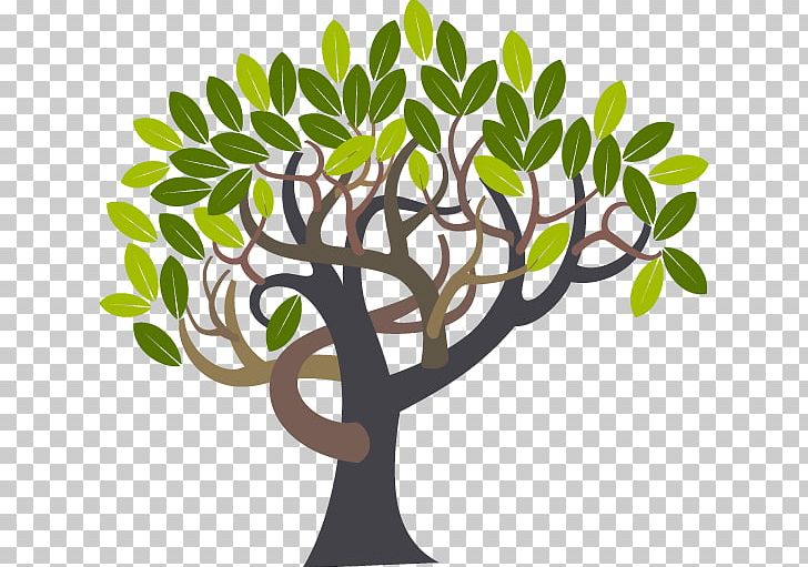 Olive Trees PNG, Clipart, Branch, Description, Download, Drawing, Flora Free PNG Download