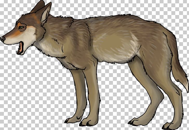 Saarloos Wolfdog Czechoslovakian Wolfdog Coyote Red Wolf PNG, Clipart, Animal, Basics, Carnivoran, Collins, Coyote Free PNG Download