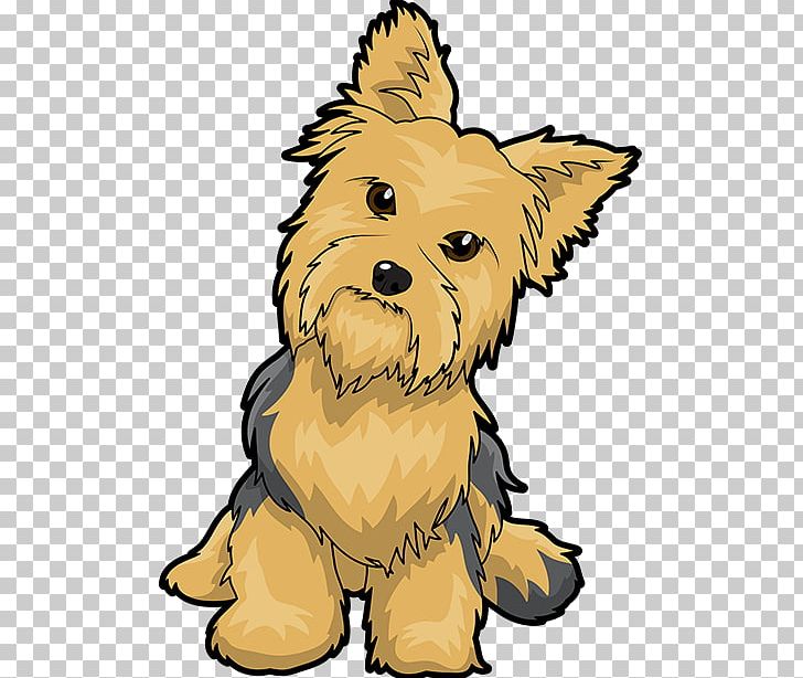 Yorkshire Terrier Puppy Maltese Dog English Toy Terrier PNG, Clipart, Animals, Cairn, Carnivoran, Cartoon, Cartoon Clipart Free PNG Download