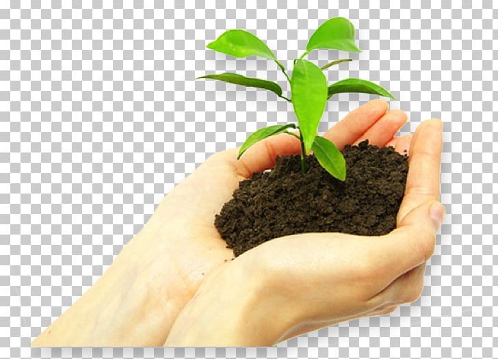 Compost Landfill Môi Trường Waste Business PNG, Clipart, Business, Compost, Consultant, Flowerpot, Hand Free PNG Download