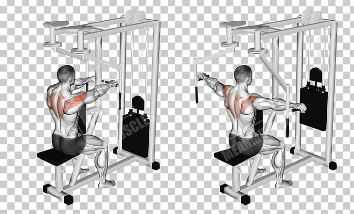 Machine Fly Exercise Front Raise Muscle PNG, Clipart, Angle, Arm, Barbell, Deltoid Muscle, Dumbbell Free PNG Download