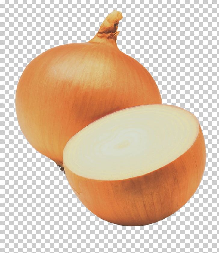 Shallot Sweet Onion Yellow Onion Red Onion White Onion PNG, Clipart, Bulb, Calabaza, Cooking, Cucurbita, Food Free PNG Download