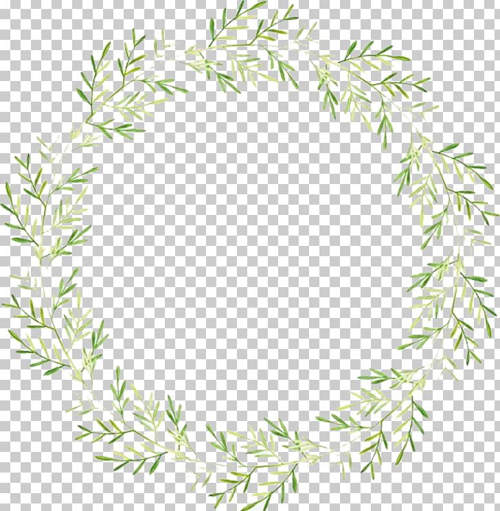 Leaf Wreath PNG, Clipart, Background, Background Decoration, Branch, Decoration, Download Free PNG Download