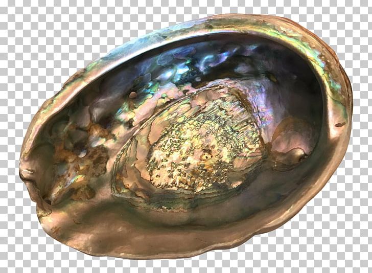 Metal Abalone PNG, Clipart, Abalone, Animal Source Foods, Artifact, Clams Oysters Mussels And Scallops, Large Free PNG Download