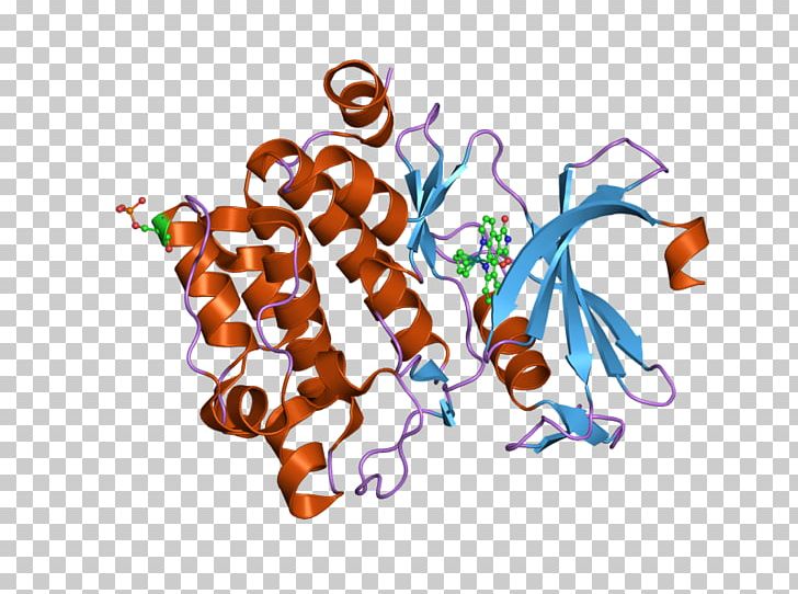 PIM1 PAK4 P21-activated Kinases Epidermal Growth Factor Receptor PNG, Clipart, Cdc25a, Complex, Crystal, Enzyme, Epidermal Growth Factor Receptor Free PNG Download