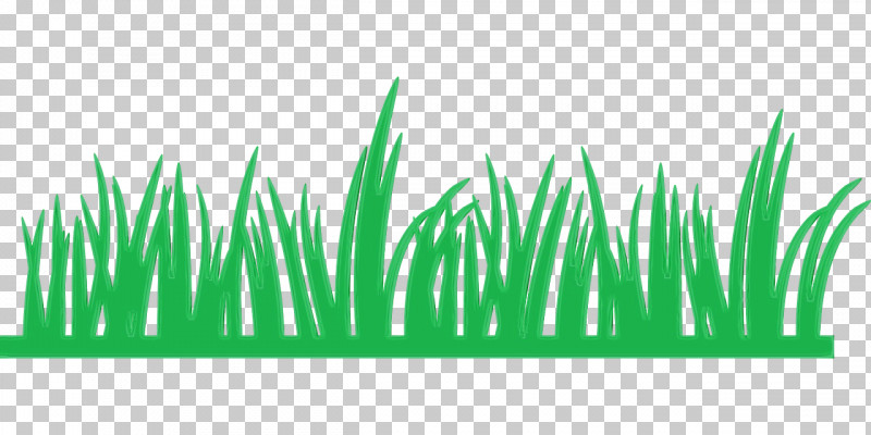 Green Grass Plant Grass Family Leaf PNG, Clipart, Artificial Turf, Grass, Grass Family, Green, Lawn Free PNG Download