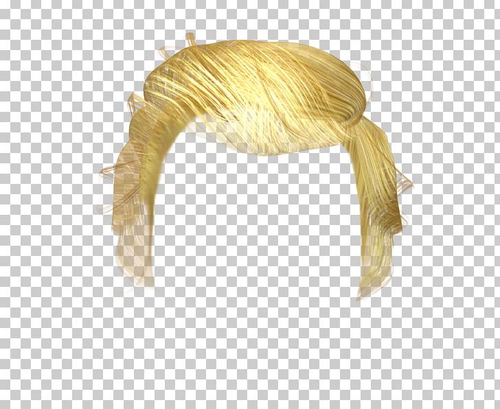 Hair Wig PNG, Clipart, 3d Computer Graphics, Animation, Blond, Donald Trump, Gimp Free PNG Download