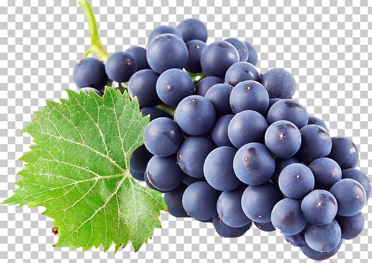 Kyoho Wine Juice Grape PNG, Clipart, Berry, Bilberry, Blueberry, Common Grape Vine, Damson Free PNG Download