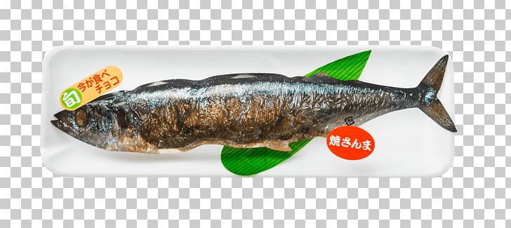 Pacific Saury （有）マルケイ 企画・卸 Chocolate Ice Cream Cones Häagen-Dazs PNG, Clipart,  Free PNG Download