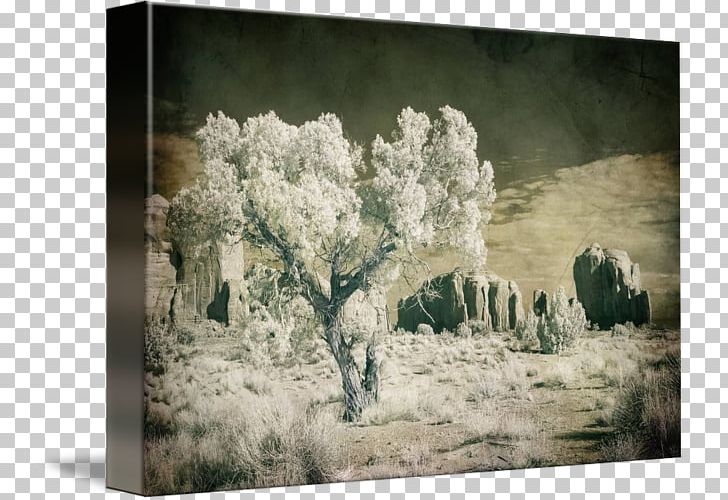 Painting Frames Tree Winter PNG, Clipart, Flora, Flower, Landscape, Monument Valley, Painting Free PNG Download