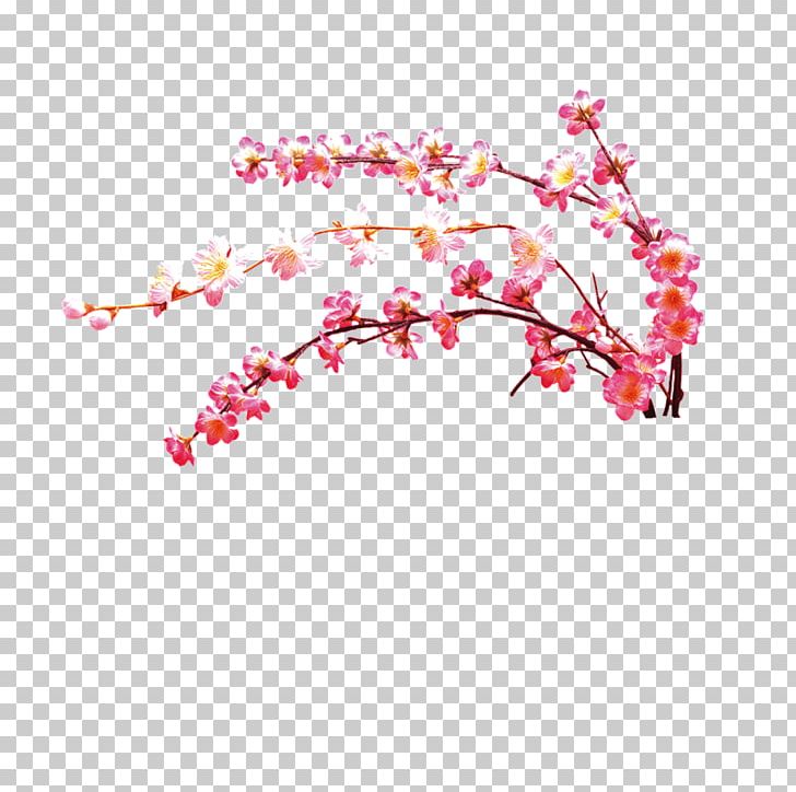 Plum Blossom PNG, Clipart, Blossom, Blossoms, Branch, Branches, Cherry Free PNG Download