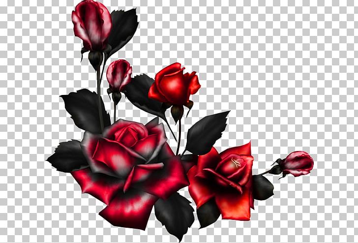 Rose Portable Network Graphics Flower PNG, Clipart, Art, Cut Flowers, Drawing, Floral Design, Flower Free PNG Download