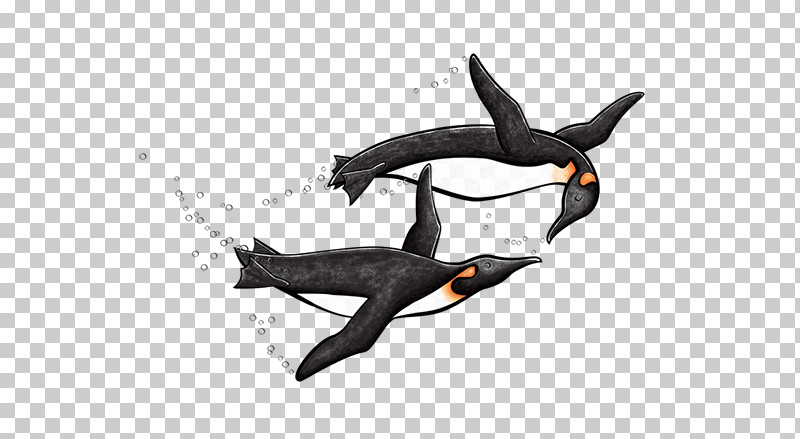 Penguin PNG, Clipart, Cartoon, Drawing, Killer Whale, Line Art, Painting Free PNG Download