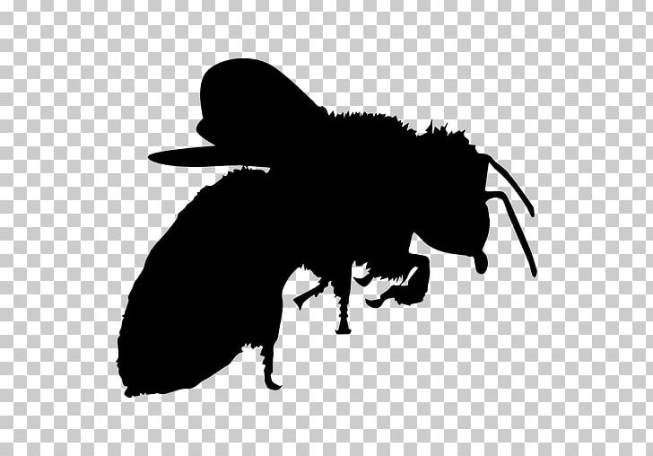Bee Silhouette PNG, Clipart, Black, Black And White, Bumblebee, Drawing, Encapsulated Postscript Free PNG Download