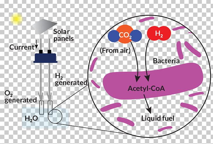 Chemistry Inorganic Compound Photosynthesis Matter Carbon Dioxide PNG, Clipart, Area, Bacteria, Brand, Carbon Dioxide, Chemistry Free PNG Download