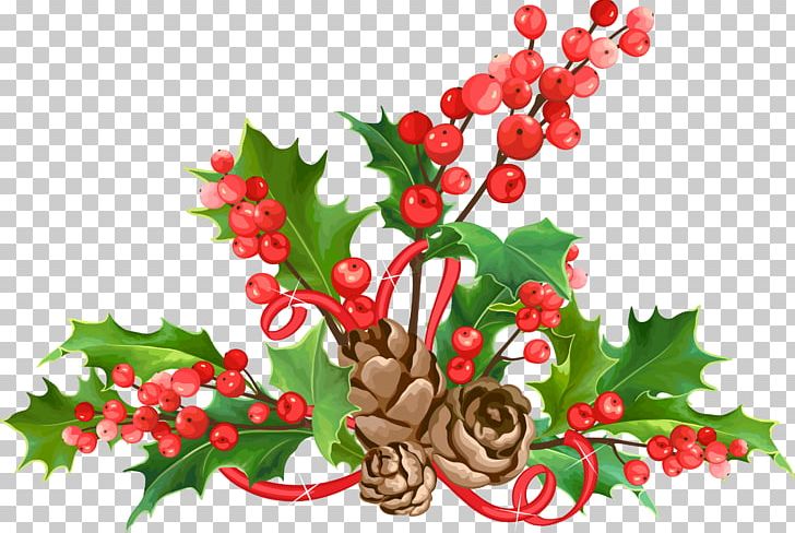 Christmas Fruit Leaf Material PNG, Clipart, Aquifoliaceae, Aquifoliales, Bow Material, Branch, Christmas Decoration Free PNG Download