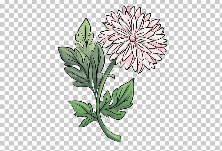 Floral Design Drawing Paper Chrysanthemum Flower PNG, Clipart, Art, Caricature, Chrysanthemum, Chrysanths, Common Daisy Free PNG Download