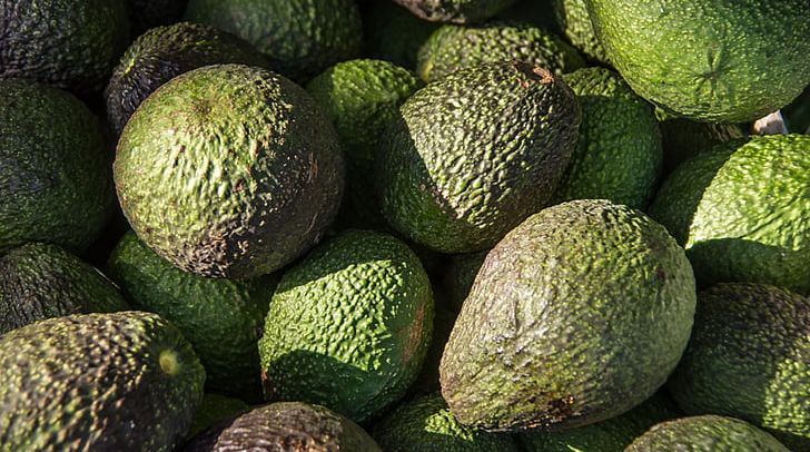 Hass Avocado Fruit Food Auglis Plant PNG, Clipart, Auglis, Avocado, Avocado Production In Mexico, Cempedak, Cucumber Gourd And Melon Family Free PNG Download