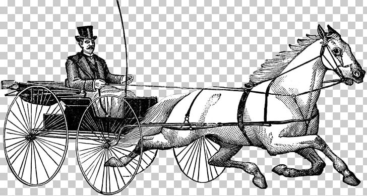 Horse And Buggy Wagon Horse Harnesses Cart Chariot PNG, Clipart, Car, Carriage, Cart, Chariot, Chariot Racing Free PNG Download