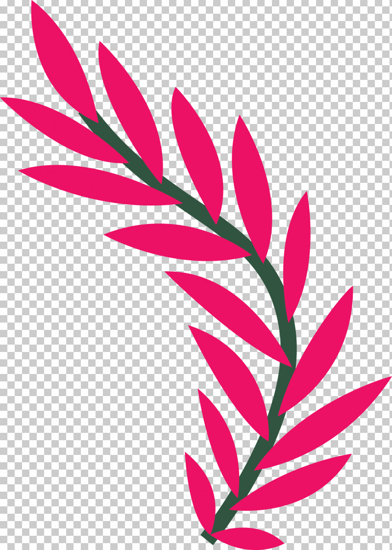 Plant Stem Petal Leaf Pink M Line PNG, Clipart, Biology, Flower, Leaf, Line, Meter Free PNG Download