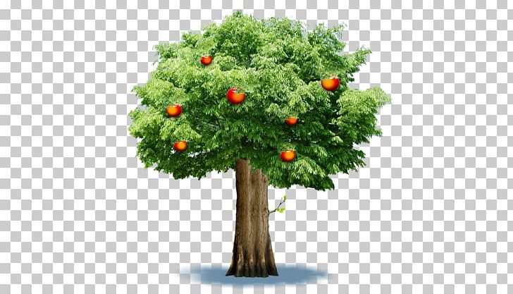 IPhone 5s Apple PNG, Clipart, Apple, Apple Fruit, Apple Logo, Apple Tree, Background Green Free PNG Download