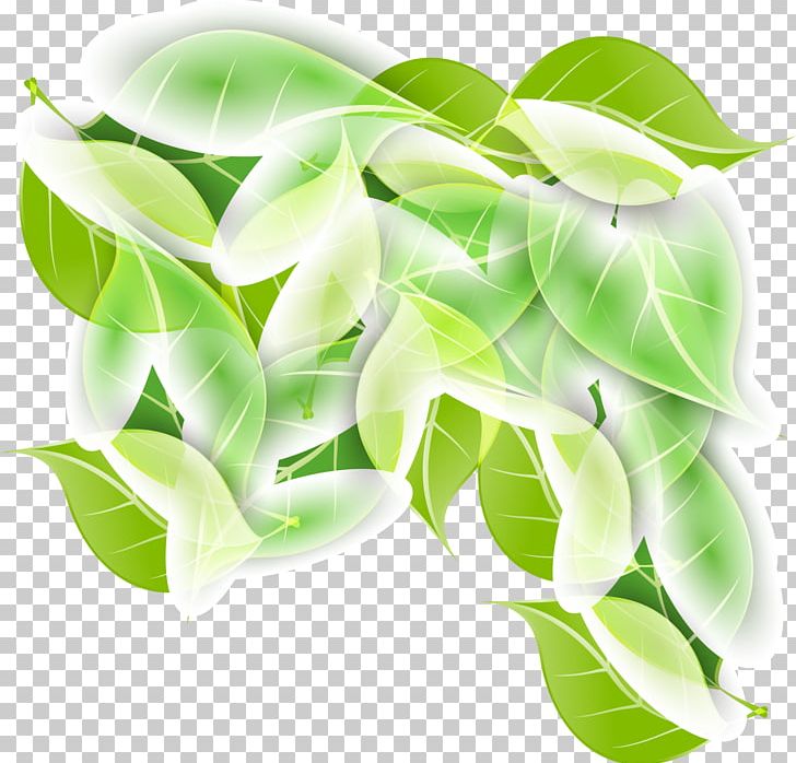 Leaf Branch PNG, Clipart, Background Green, Decorative, Decorative Pattern, Dig, Dream Free PNG Download