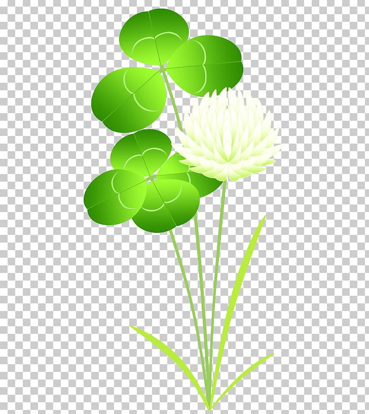 Petal Leaf Plant Stem PNG, Clipart, Flora, Flower, Flowering Plant, Grass, Green Free PNG Download