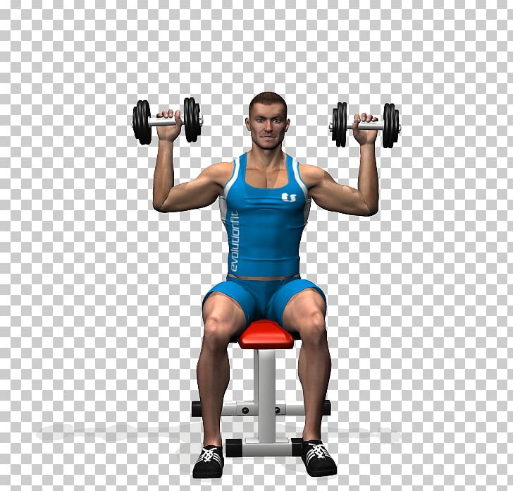 Weight Training Overhead Press Dumbbell Physical Exercise Shoulder PNG, Clipart, Abdomen, Arm, Bench, Boxing Glove, Fitness Centre Free PNG Download