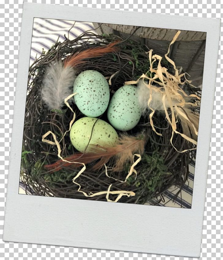 Bird Nest NEST+m Egg PNG, Clipart, Bird, Bird Nest, Egg, He Is Risen, Nest Free PNG Download