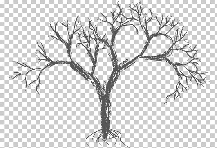 Drawing Tree PNG, Clipart, Artwork, Barewall, Black And White, Branch, Brush Free PNG Download