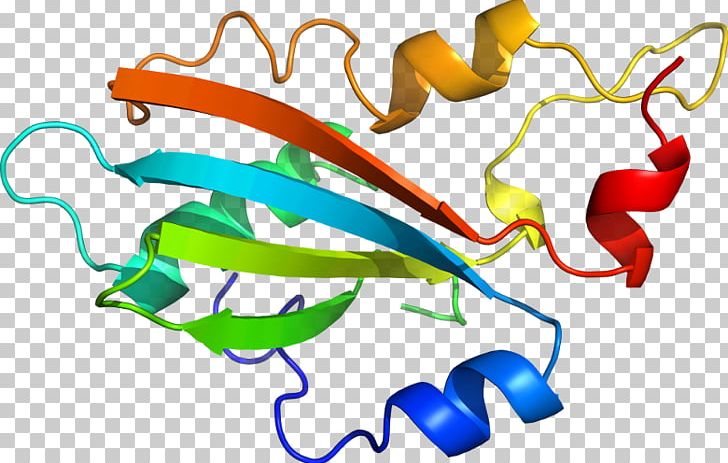 Organism Line PNG, Clipart, Area, Art, Artwork, C 1, D 1 Free PNG Download