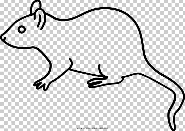 Rat Coloring Book Drawing Child PNG, Clipart, Animal, Animal Figure, Animals, Artwork, Black And White Free PNG Download