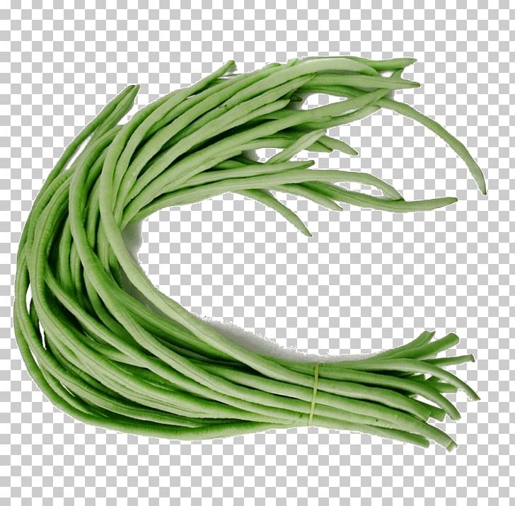 Yardlong Bean Common Bean Runner Bean Vegetable PNG, Clipart, Bean, Beans, Blackeyed Pea, Common Bean, Cooking Free PNG Download