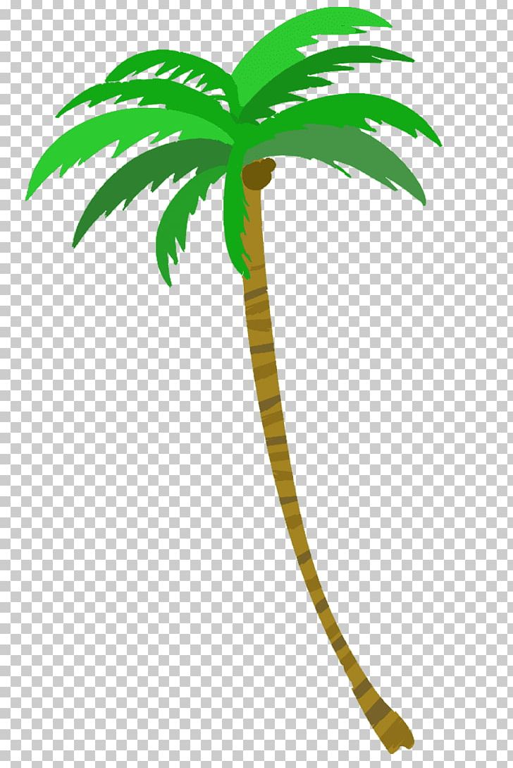 Coconut Palm Trees PNG, Clipart, Arecales, Coconut, Flowering Plant, Flowerpot, Fruit Nut Free PNG Download