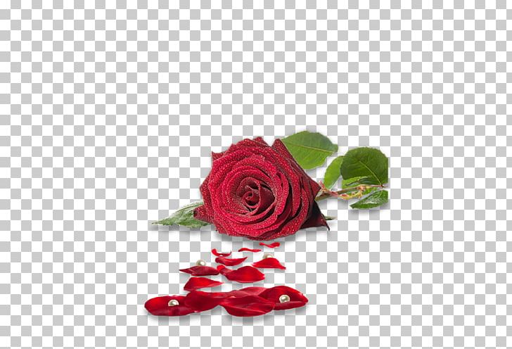Flower Rose Desktop PNG, Clipart, 1080p, Aime, Artificial Flower, Barre, Cut Flowers Free PNG Download