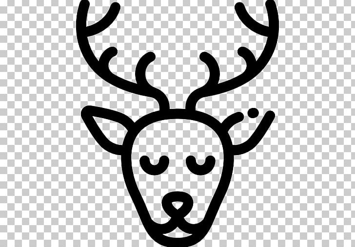 Snout Deer Antler White PNG, Clipart, Animals, Antler, Black And White, Deer, Face Free PNG Download