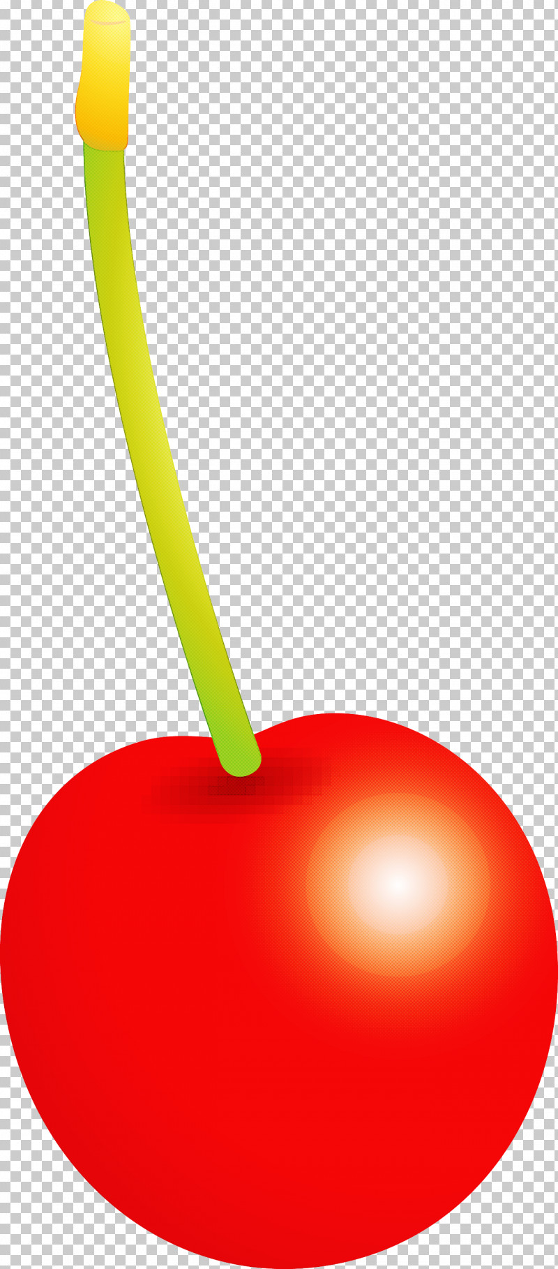 Cherry PNG, Clipart, Cherry, Drupe, Fruit, Plant Free PNG Download