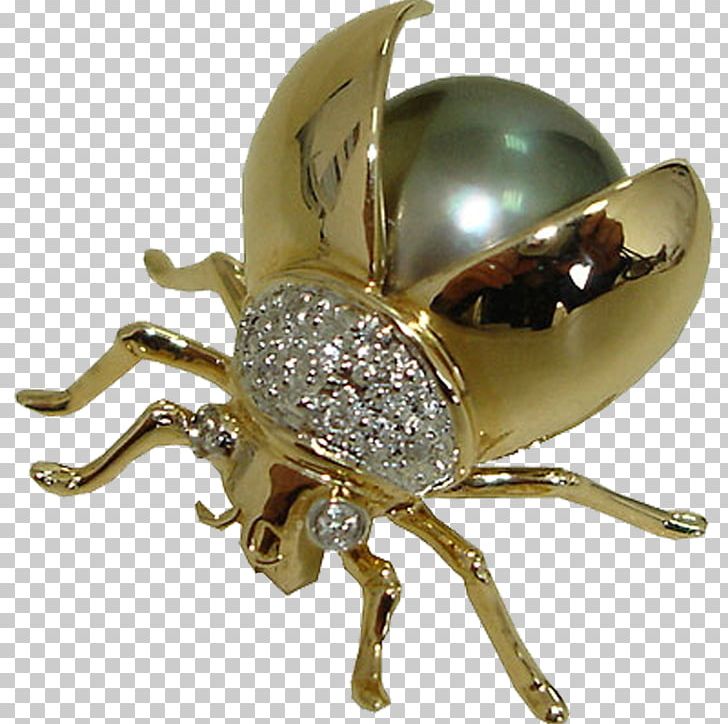 Brooch Insect Body Jewellery .com PNG, Clipart, Animals, Arthropod, Body Jewellery, Body Jewelry, Brooch Free PNG Download