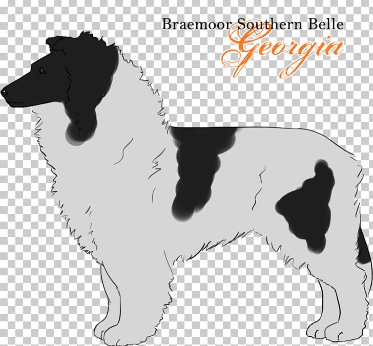 English Springer Spaniel Drentse Patrijshond Stabyhoun Dog Breed Puppy PNG, Clipart, Breed, Carnivoran, Companion Dog, Dog, Dog Breed Free PNG Download
