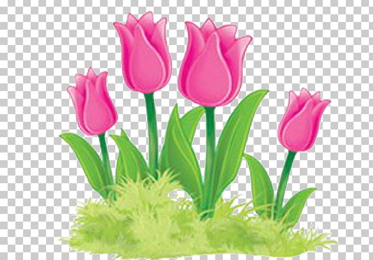Tulip Floral Design Cut Flowers Flower Bouquet PNG, Clipart, Aquarium, Aquarium Decor, Cut Flowers, Floral Design, Floristry Free PNG Download