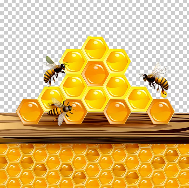 Honey Bee Honeycomb PNG, Clipart, Animal, Animals, Bee, Bee Hive, Beehive Free PNG Download