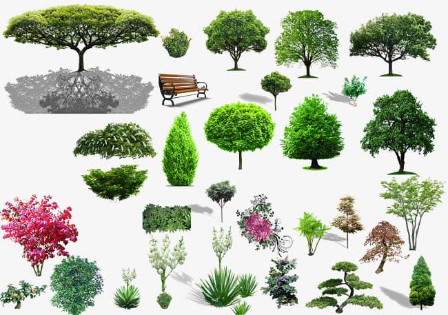 Plant Material PNG, Clipart, Flowers, Garden, Material Clipart, Plant Clipart, Purple Free PNG Download