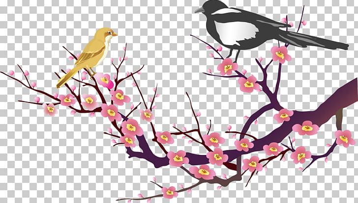 Plum Blossom PNG, Clipart, Art, Beak, Bird, Blossom, Branch Free PNG Download