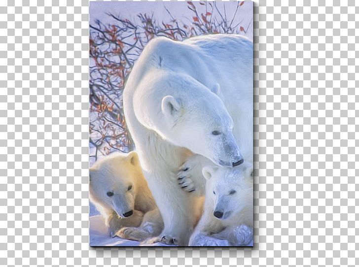Polar Bear Wrangel Island Basabizitza PNG, Clipart, Animals, Basabizitza, Bear, Bear Cub, Canada Free PNG Download