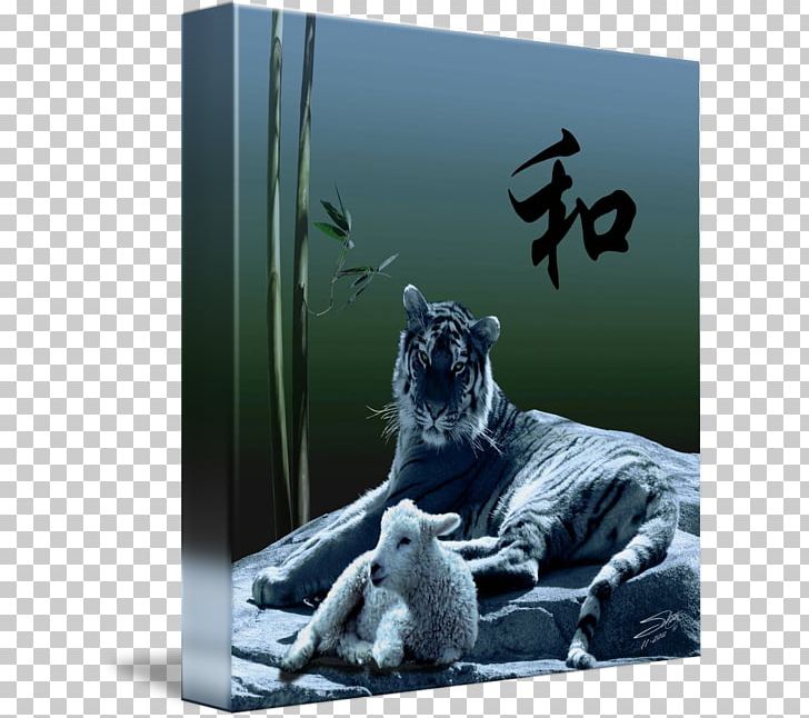 Tiger Cat Gallery Wrap Canvas Australia China Youth Association PNG, Clipart, Animals, Art, Big Cat, Big Cats, Canvas Free PNG Download