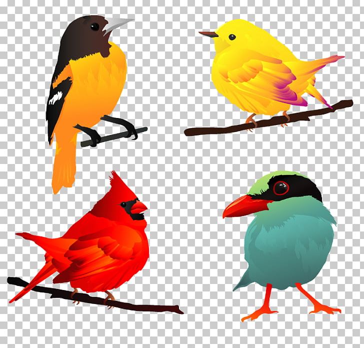 Bird PNG, Clipart, Beak, Bird, Clip Art, Encapsulated Postscript, European Robin Free PNG Download