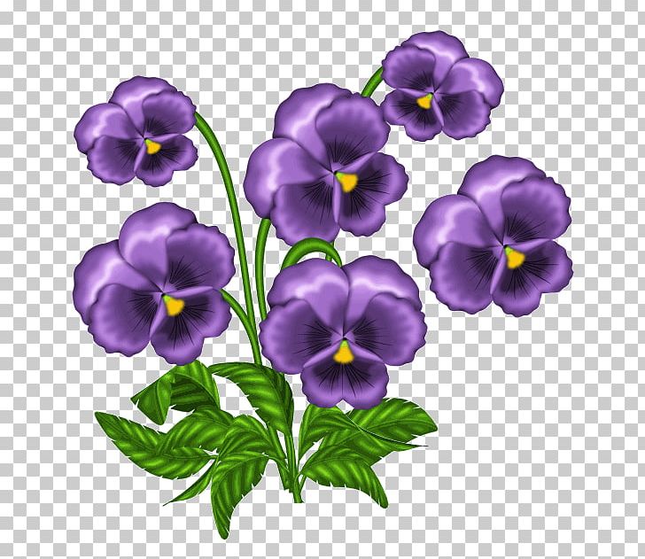 Light African Violets PNG, Clipart, African Violets, Captivity, Clip Art, Color, Cut Flowers Free PNG Download
